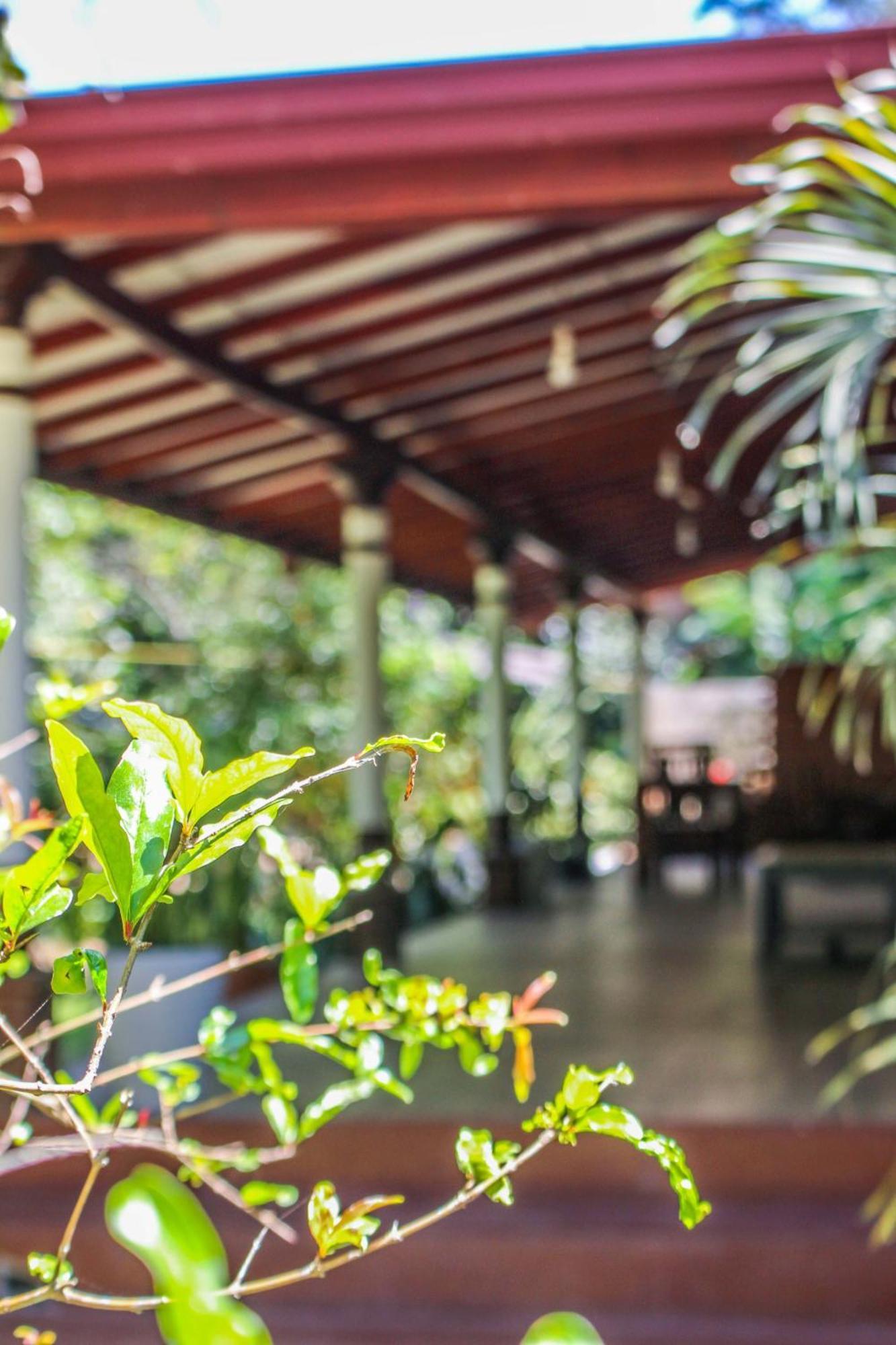 Lavender Homestay 埃拉 外观 照片