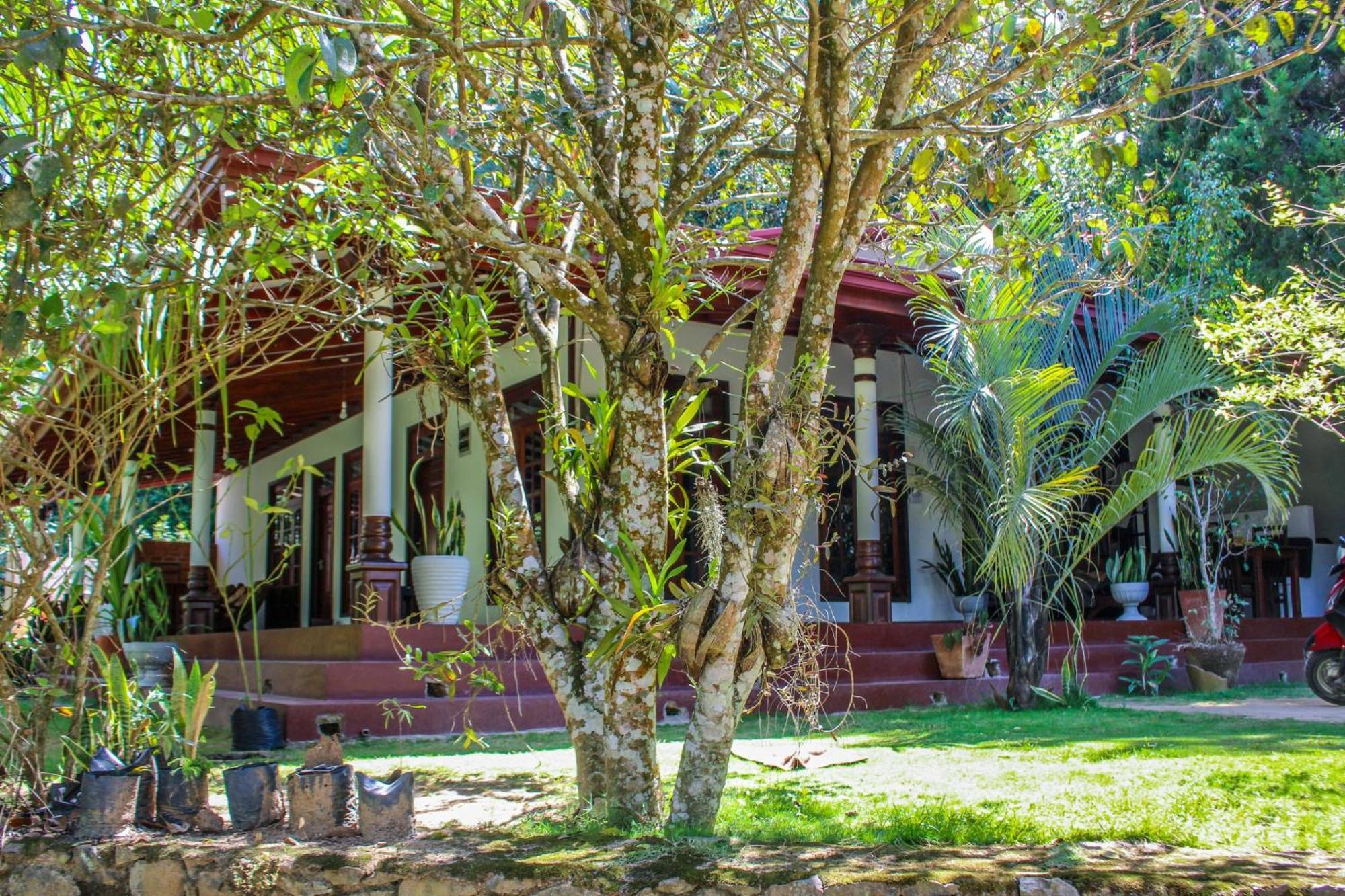 Lavender Homestay 埃拉 外观 照片